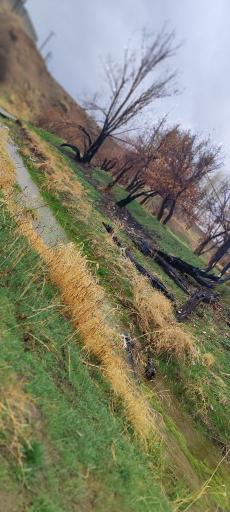 عکس دریاچه سد ماملو