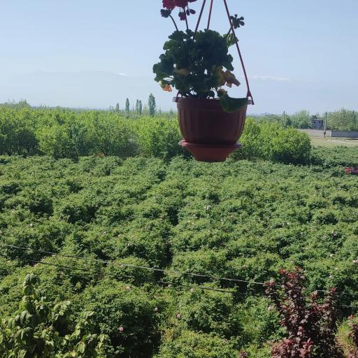 عکس بهشت مامطیر 