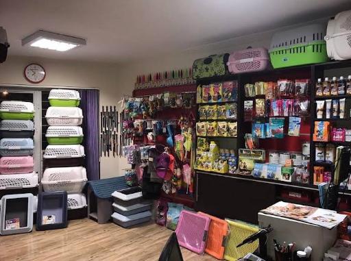 عکس کلینیک دامپزشکی آرا 