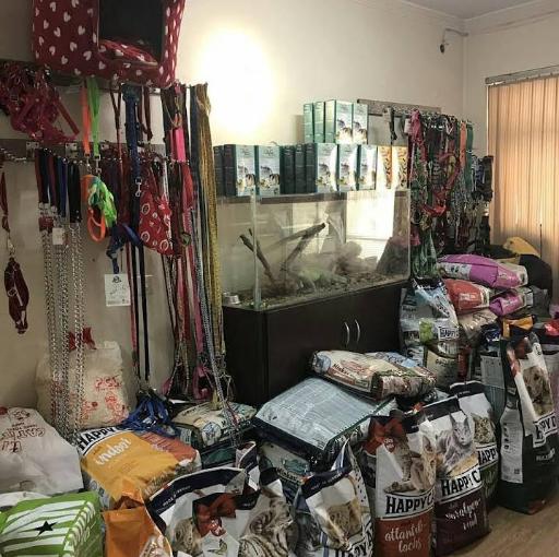 عکس کلینیک دامپزشکی آرا 