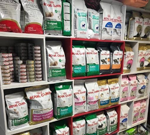 عکس کلینیک دامپزشکی آرا 