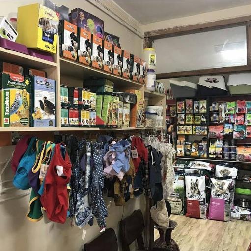 عکس کلینیک دامپزشکی آرا 