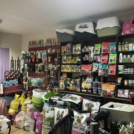 عکس کلینیک دامپزشکی آرا 