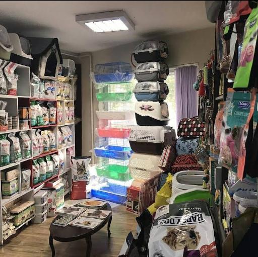 عکس کلینیک دامپزشکی آرا 