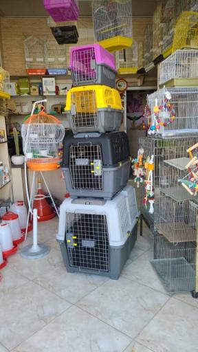 عکس شهر حیوانات