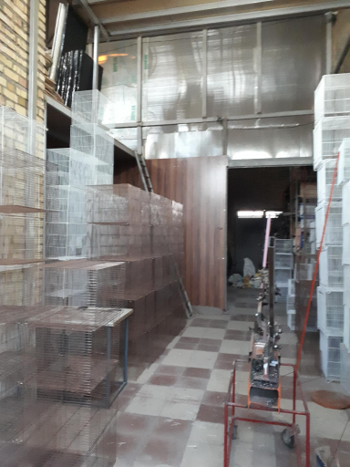 عکس شهر حیوانات