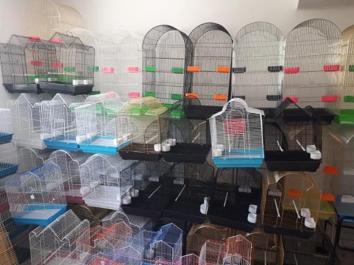 عکس شهر حیوانات