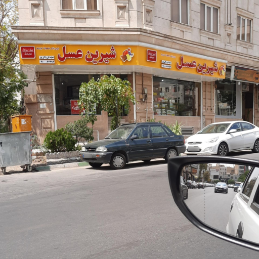 عکس نمایندگی شیرین عسل ولائی پور