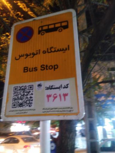 عکس  چمن 75