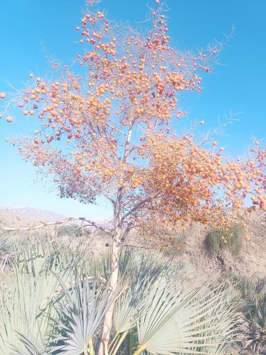 عکس سیستان و بلوچستان