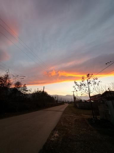 عکس دارباغ