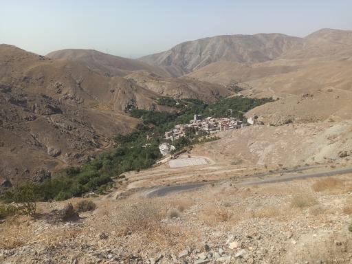 عکس وردیج