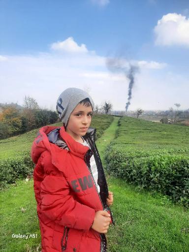 عکس دارباغ