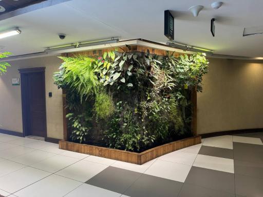 عکس ایران کریدیت