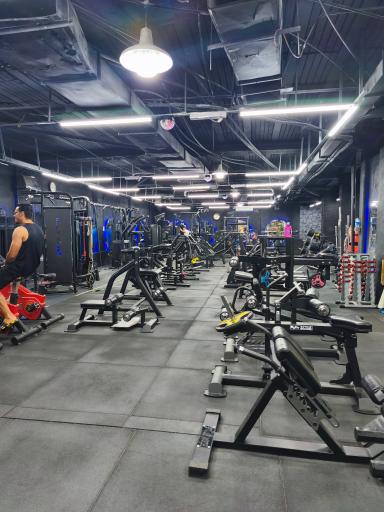 عکس باشگاه بدنسازی افضل