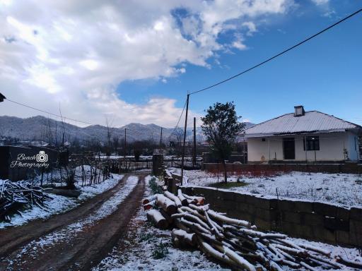 عکس دارباغ