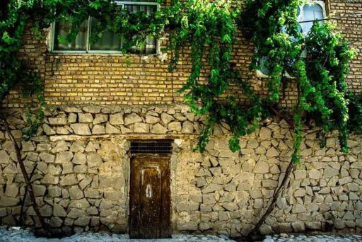 عکس وردیج