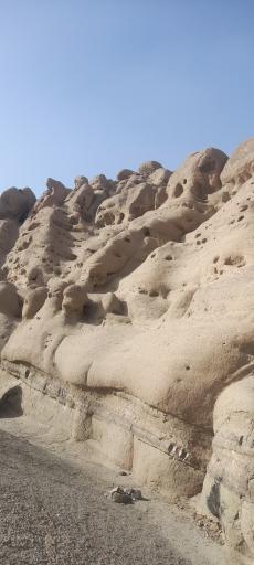 عکس وردیج