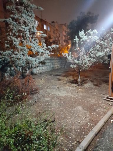 عکس بوستان سرو