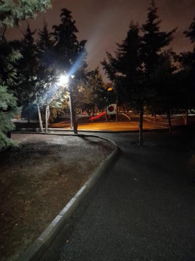 عکس بوستان سرو