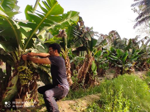 عکس سیستان و بلوچستان