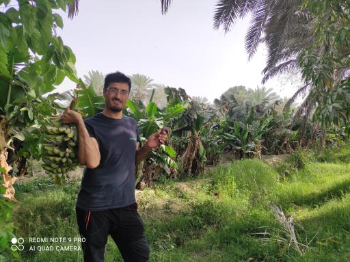 عکس سیستان و بلوچستان