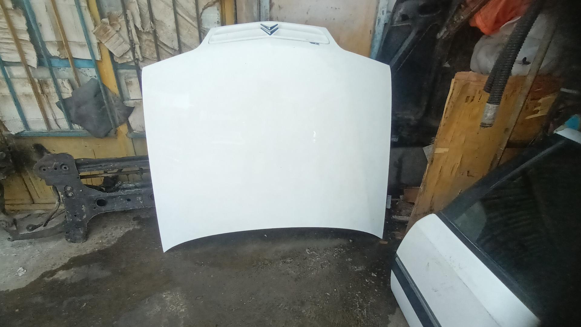 عکس مسترزانتیا