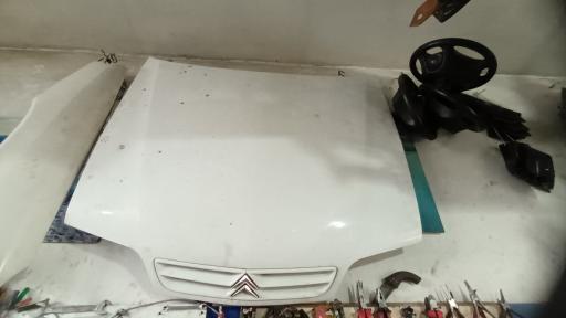 عکس مسترزانتیا