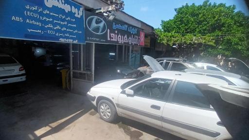 عکس مسترزانتیا