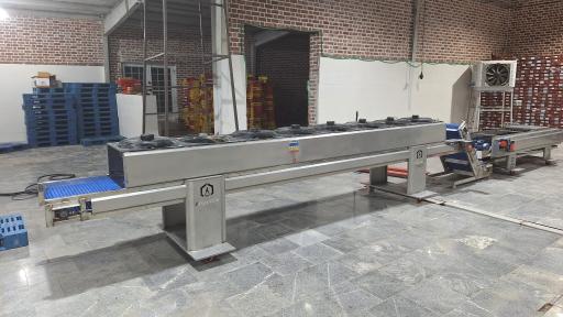 عکس کینگ کیمیا