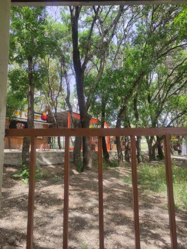 عکس پارک بانوان