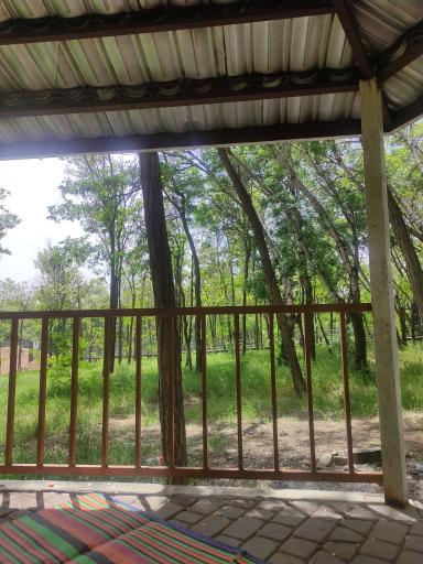 پارک بانوان