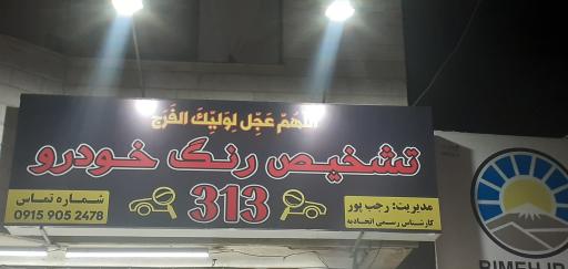 مرکز تشخیص رنگ خودرو 313