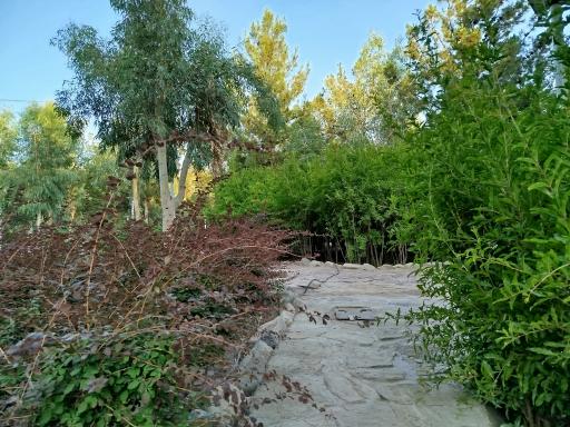 عکس بوستان علوی