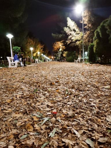 عکس بوستان علوی