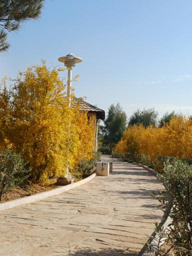 عکس بوستان علوی