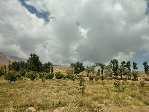 عکس کهنوج