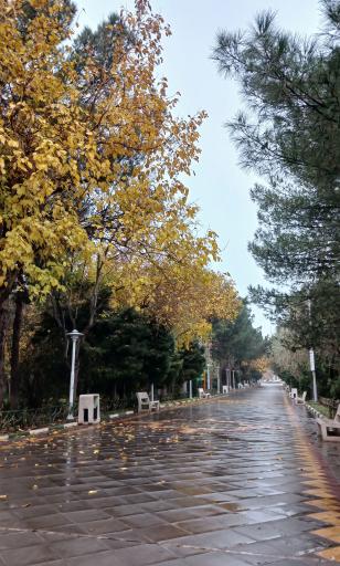 عکس بوستان علوی