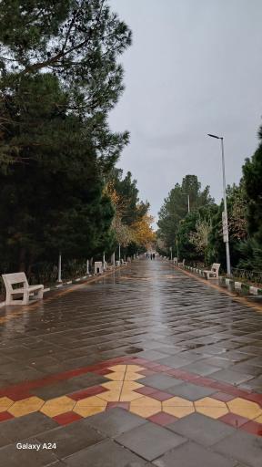 عکس بوستان علوی