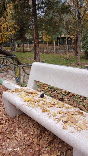 عکس بوستان علوی