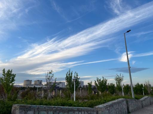 عکس بوستان علوی