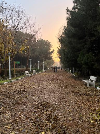 عکس بوستان علوی