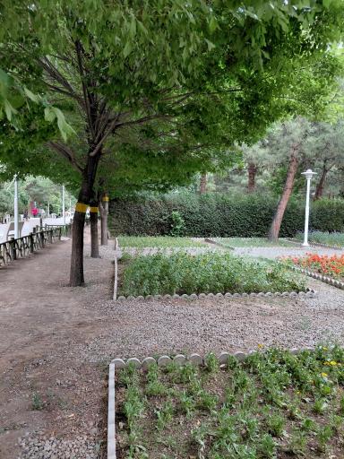بوستان علوی