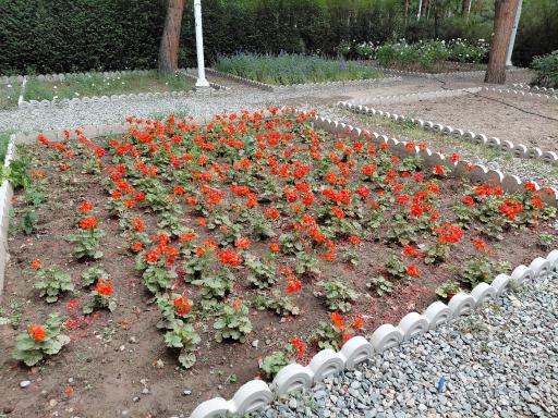عکس بوستان علوی