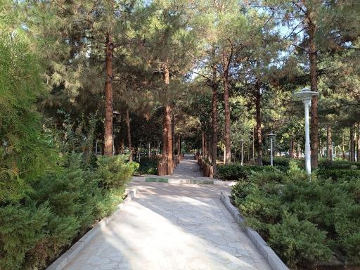 عکس بوستان علوی