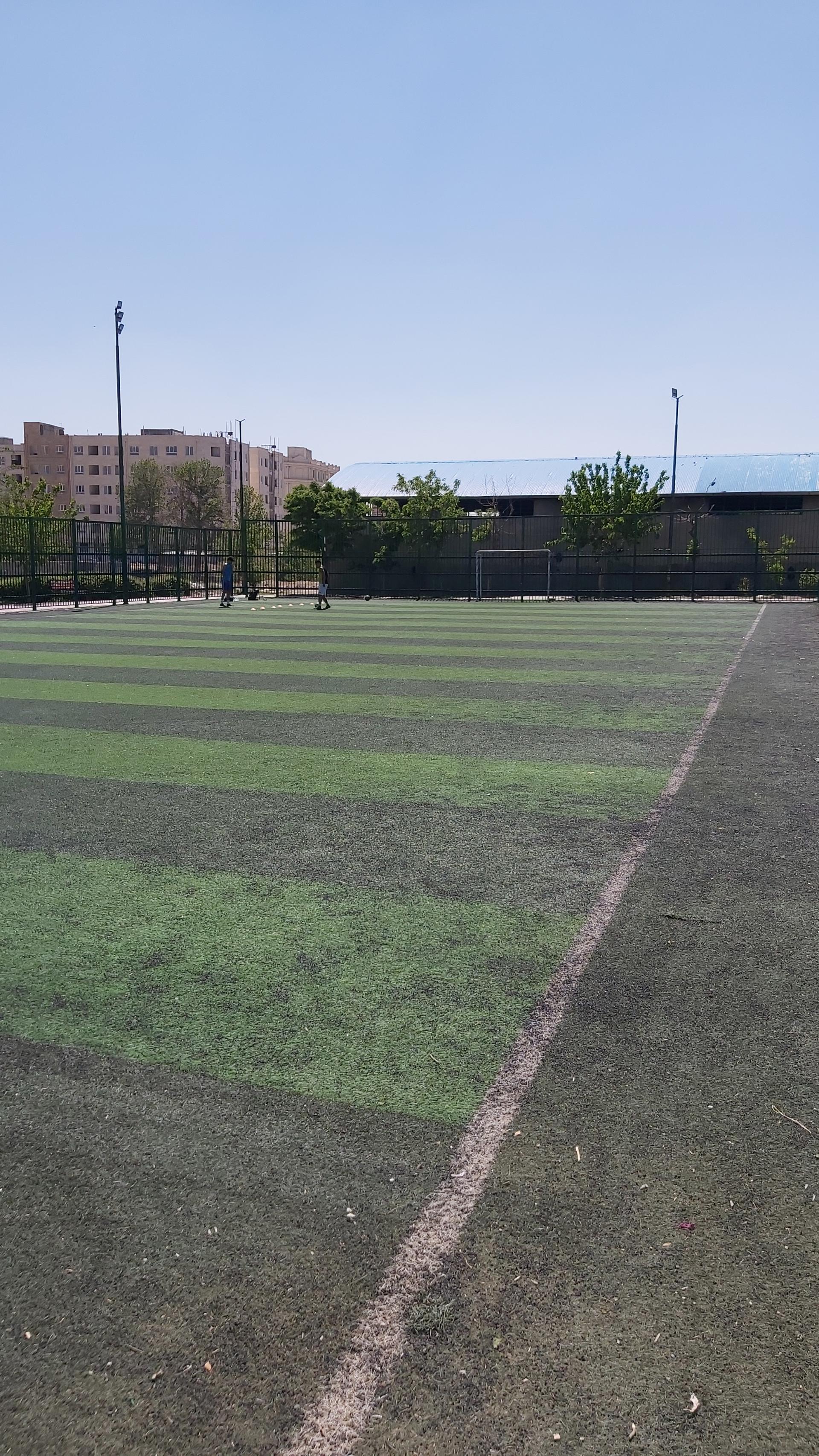 عکس زمین چمن