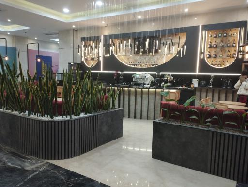 عکس کافه هالین 