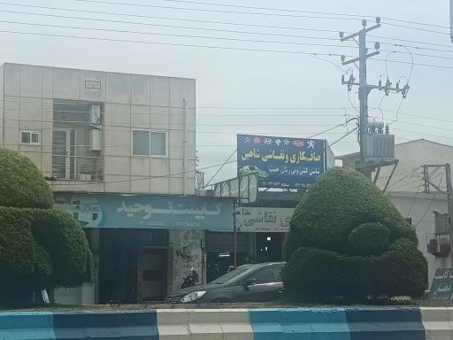 عکس صافکاری نقاشی شاهین