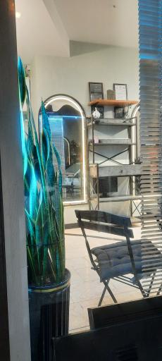 عکس آرایشگاه مردانه نیوفیس    H+