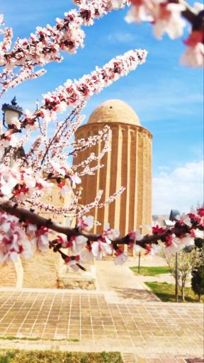 عکس برج کاشانه